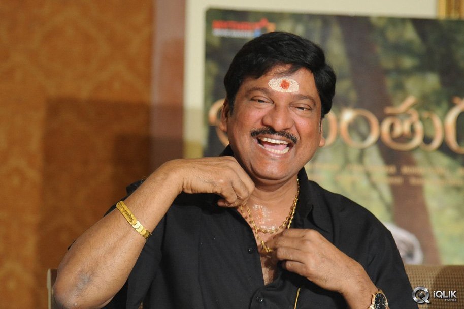 Srimanthudu-Movie-Thanks-Press-Meet